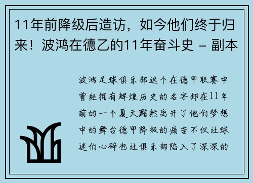 11年前降级后造访，如今他们终于归来！波鸿在德乙的11年奋斗史 - 副本